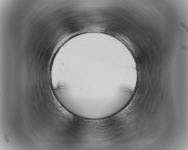 X0000097811192200804110942