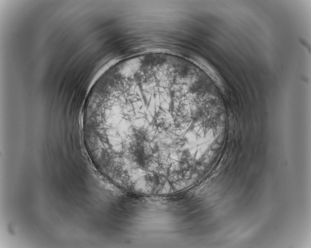 X0000097811198200804110942