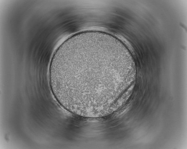 X0000097811199200804110942