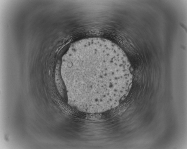 X0000097811201200804110941