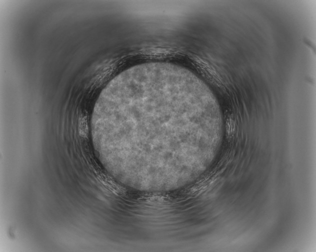 X0000097811204200804110941