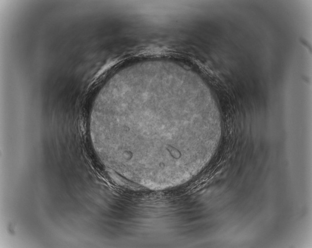 X0000097811206200804110941