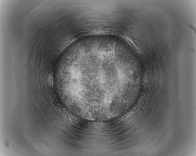 X0000097811209200804110941