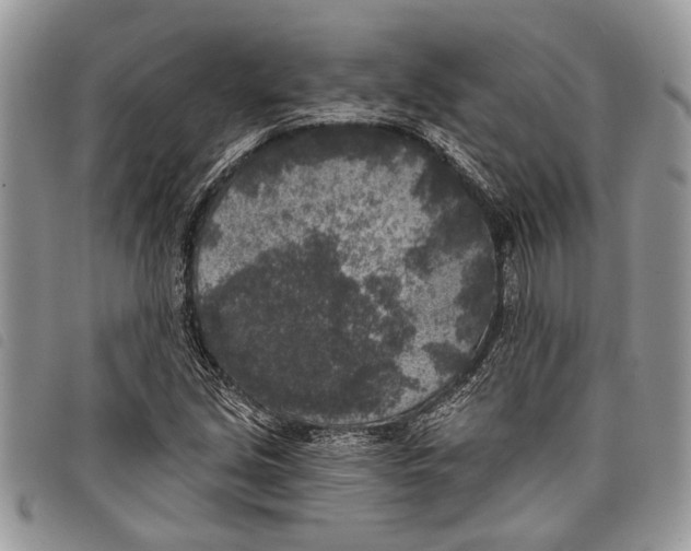 X0000097811213200804110941