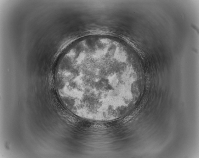 X0000097811215200804110942