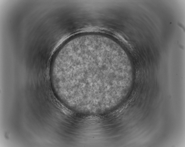 X0000097811216200804110942