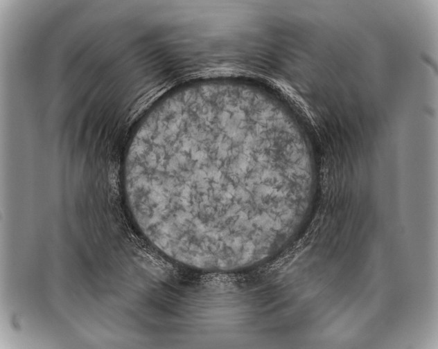 X0000097811217200804110942