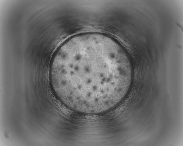 X0000097811220200804110942