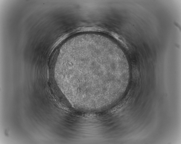 X0000097811221200804110942