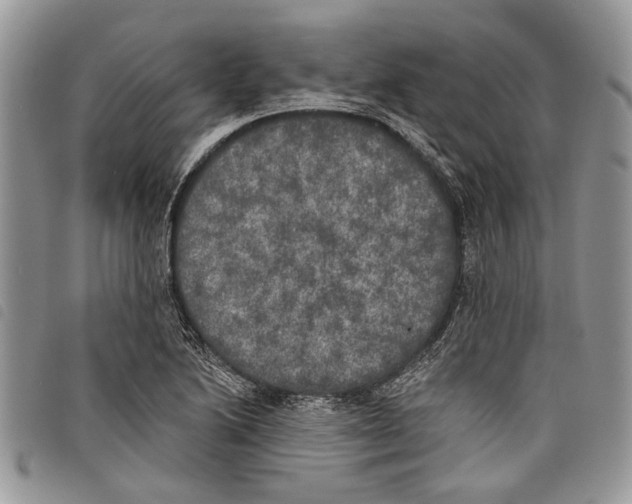 X0000097811222200804110942