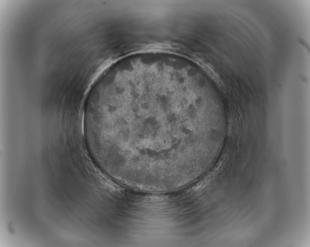 X0000097811224200804110942