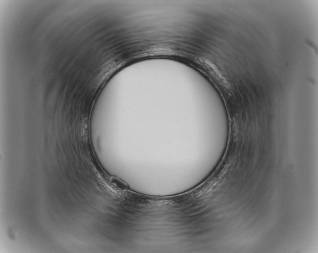 X0000097811225200804110942