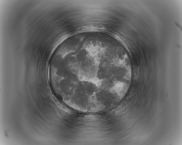 X0000097811227200804110942