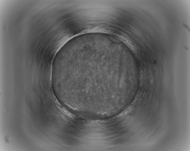 X0000097811228200804110942