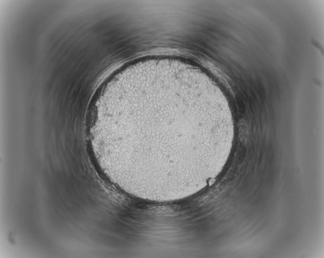 X0000097811229200804110942