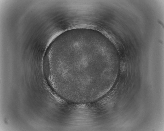 X0000097811230200804110942