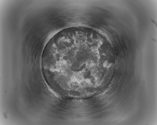 X0000097811231200804110942