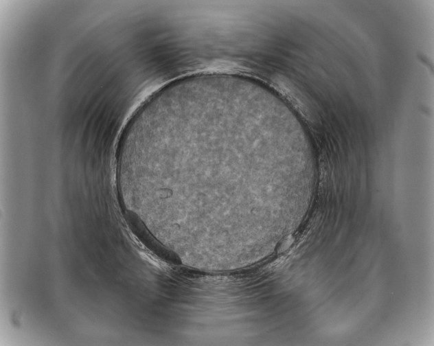 X0000097811232200804110942