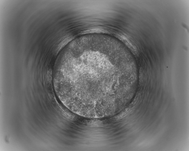 X0000097811233200804110942