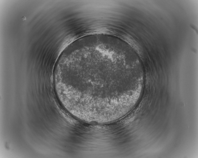 X0000097811234200804110942