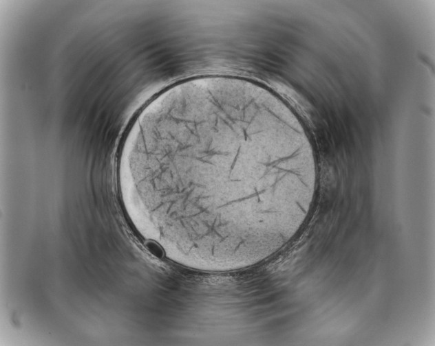 X0000097811238200804110942