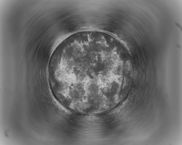 X0000097811239200804110942