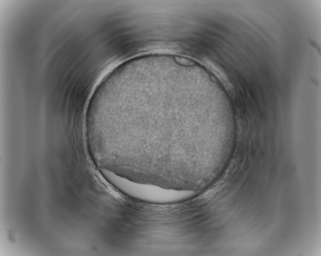 X0000097811240200804110942