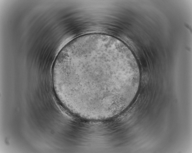 X0000097811242200804110942