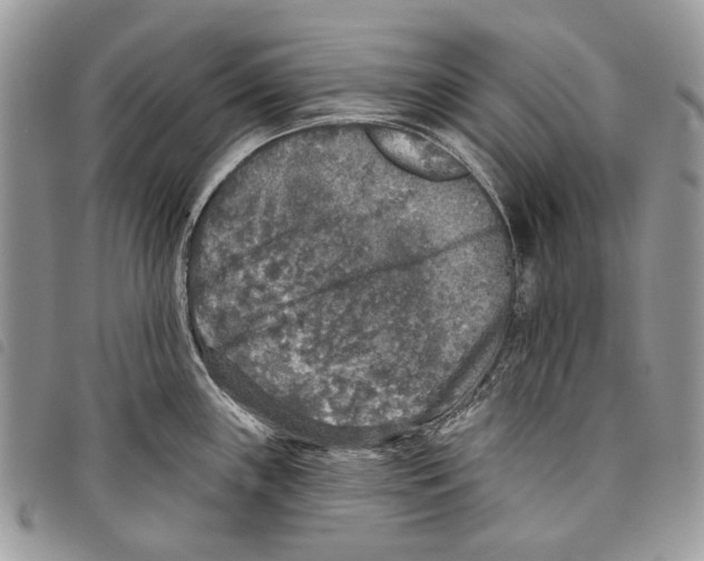 X0000097811243200804110942