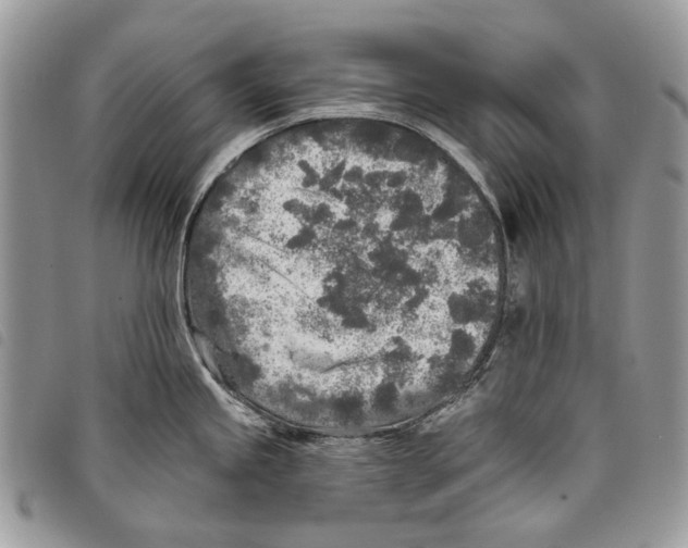 X0000097811245200804110942