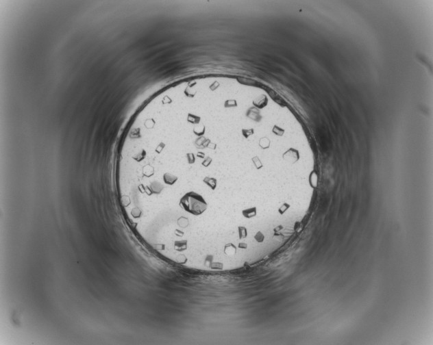 X0000097811246200804110942