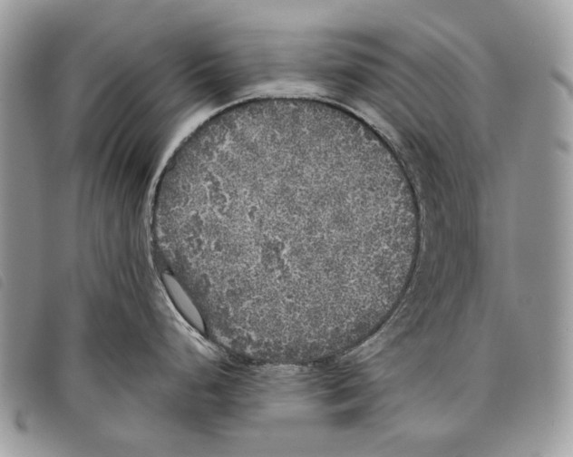 X0000097811248200804110942