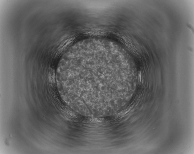 X0000097811251200804110941