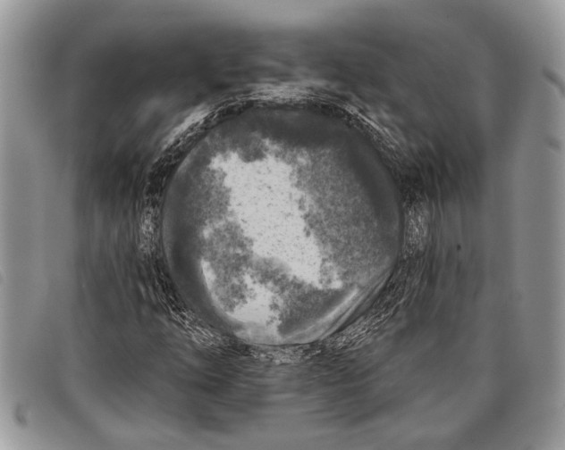 X0000097811254200804110941