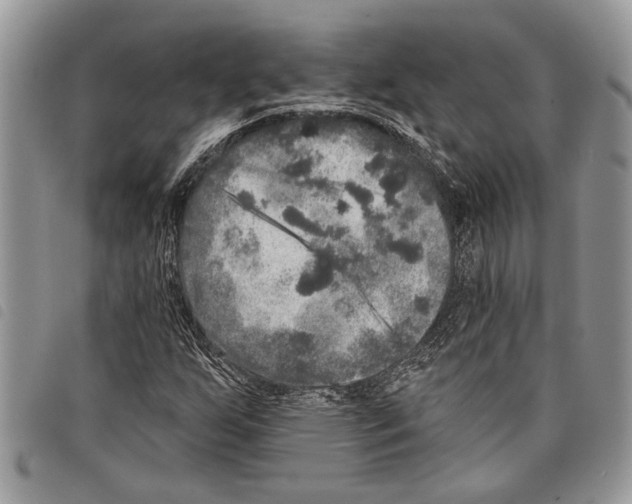 X0000097811255200804110941