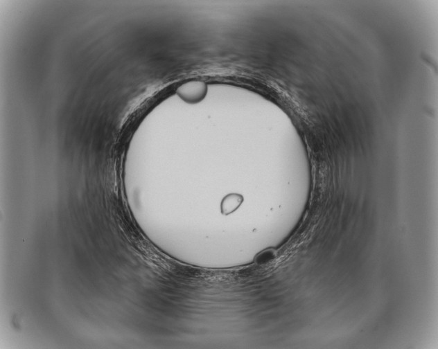 X0000097811262200804110941