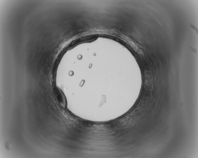 X0000097811264200804110941