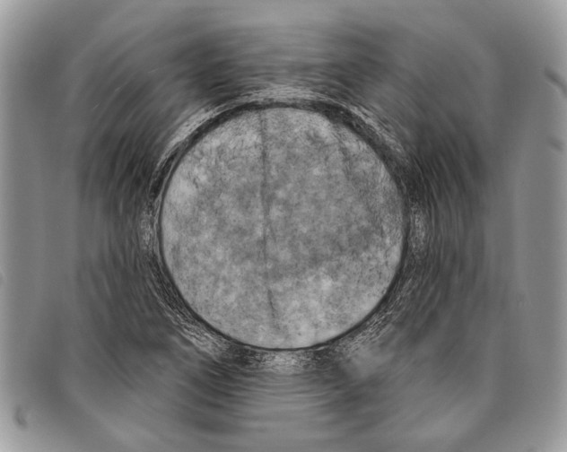 X0000097811266200804110941