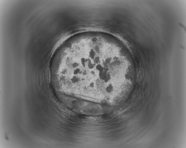 X0000097811271200804110941