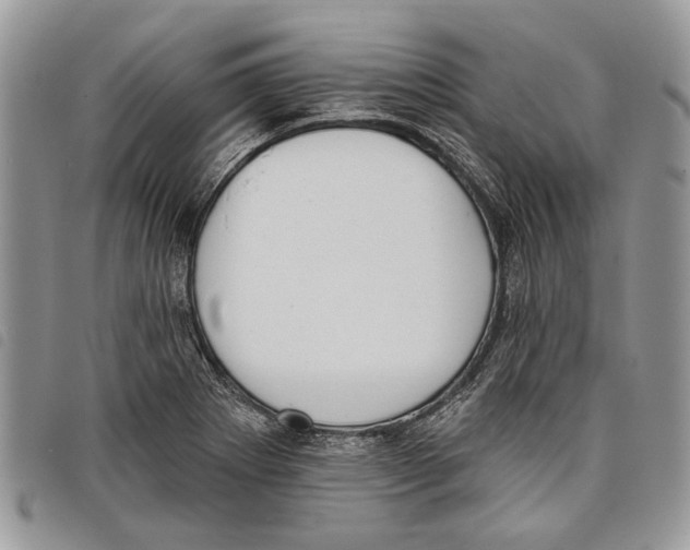 X0000097811273200804110941