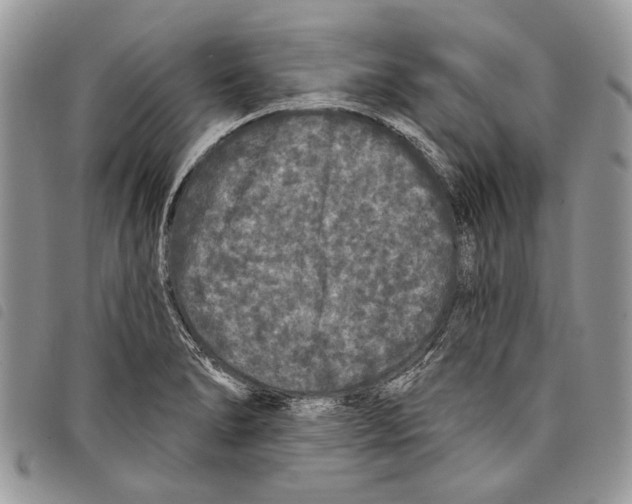 X0000097811278200804110941