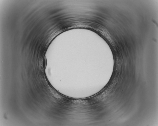 X0000097811281200804110941