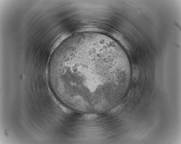 X0000097811282200804110941