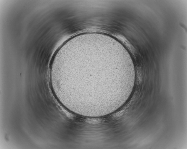 X0000097811286200804110941