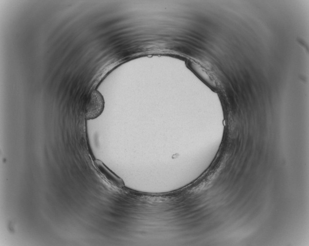 X0000097811289200804110941