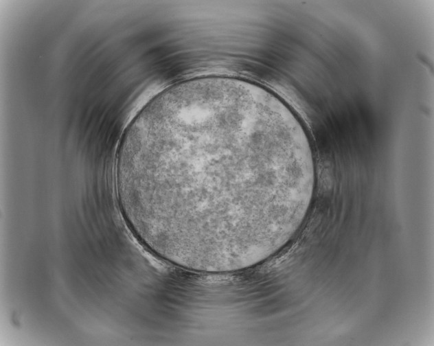 X0000097811290200804110941