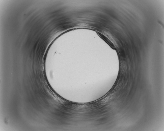 X0000097811292200804110941