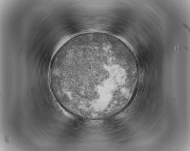 X0000097811294200804110941