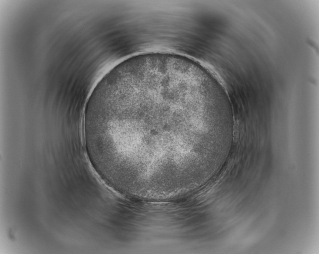 X0000097811295200804110941