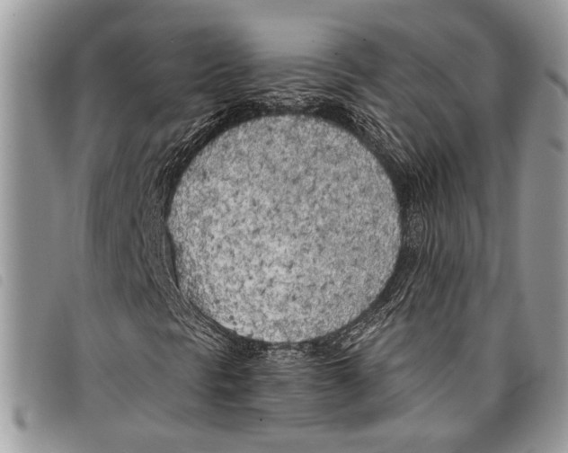 X0000097811297200804110940